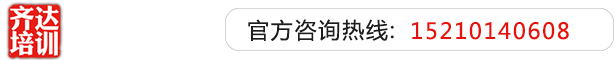 大鸡巴操死你视频齐达艺考文化课-艺术生文化课,艺术类文化课,艺考生文化课logo